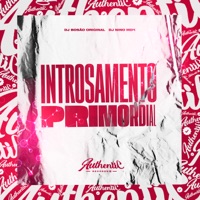 Introsamento Primordial (feat. DJ NINO MDK) - Single - dj Bosão original