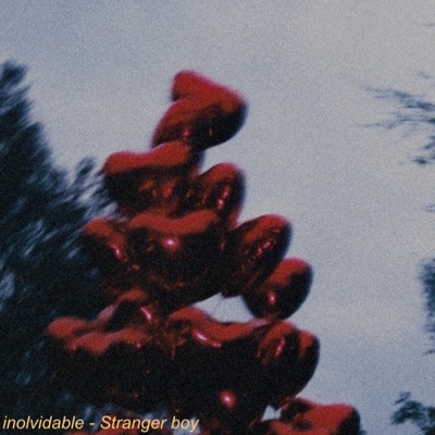 Inolvidable - Single