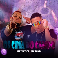 Os Cria do Campo (feat. MC Tonta) - Single - kelvin zica