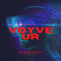 Voyveur - Single - Juna