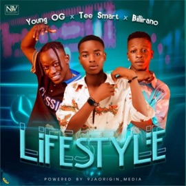 Lifestyle (feat. Young OG, Tee Smart & Billirano) NBV Squad