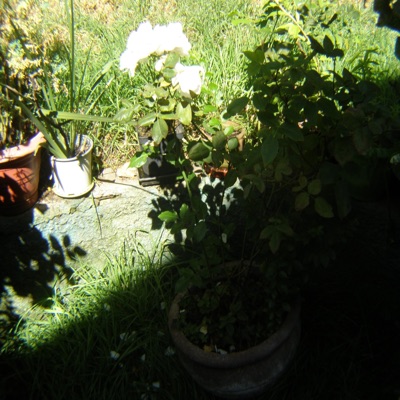 necesito el valor tanto como necesito el miedo & deja pensarlo mal - ilusiones (feat. fuentedevioletas)