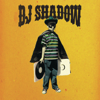 DJ Shadow - Enuff (feat. Q-Tip & Lateef the Truth Speaker)  arte