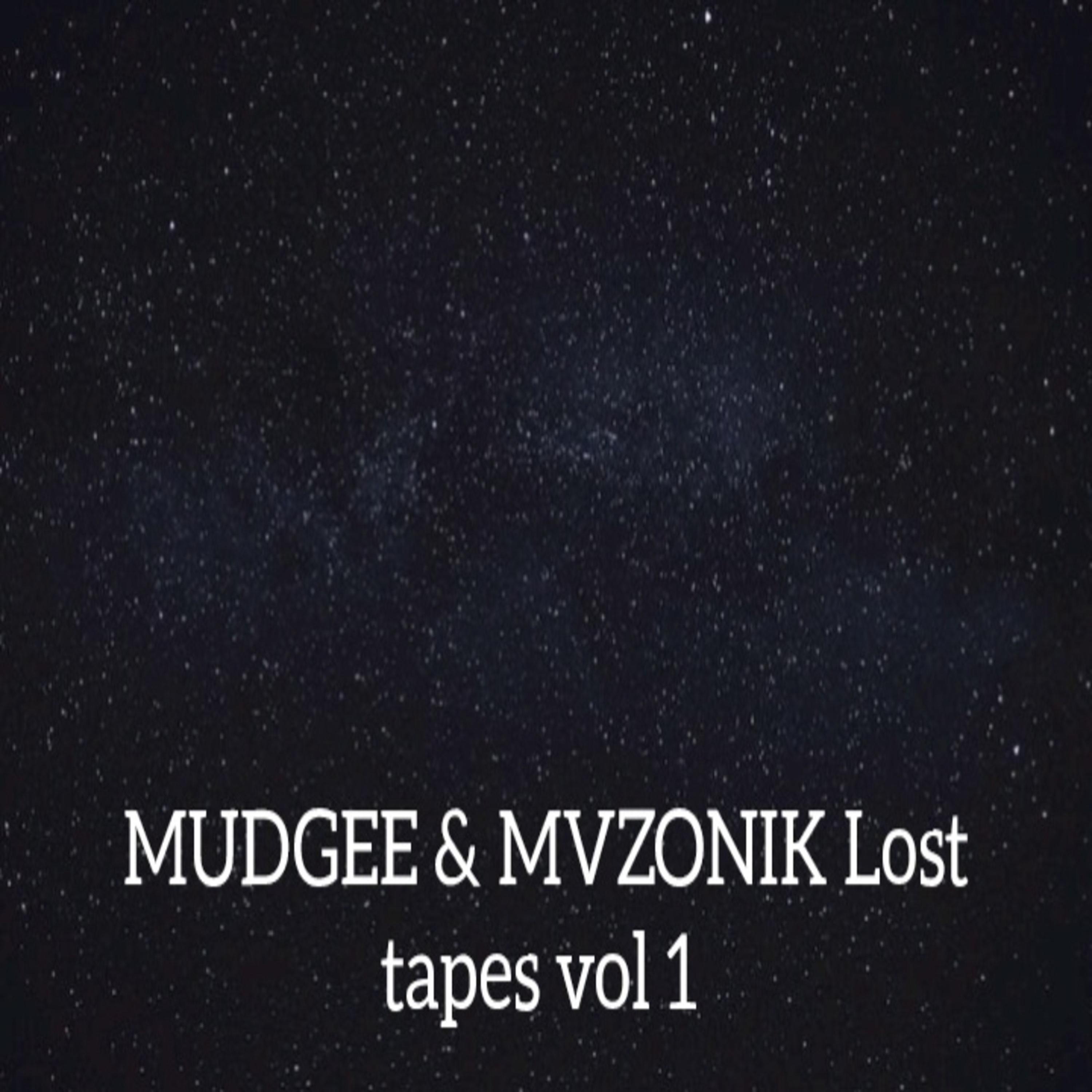 Lost Tapes Vol 1 (feat. Mvzonik)