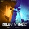 Gun 'n Mic artwork