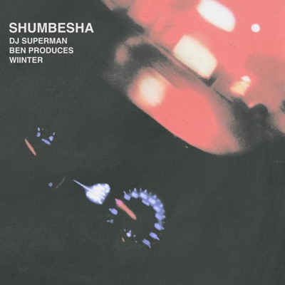Shumbesha (feat. Ben Produces & Wiinter) - Single