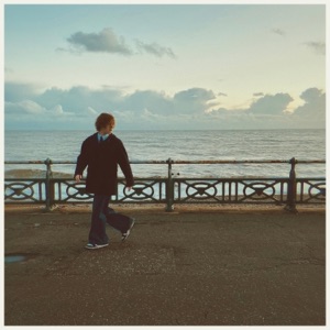 Spiderwebs - Single