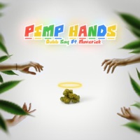 Pimp Hands - Single - Dubb Saq