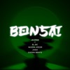 Bonsai (feat. Josh, El Bc, N***a Jo$3r & Chisik Beats) - Single