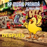 Después de las Cenizas (feat. pollo man) - Single - Rp Music Panamá