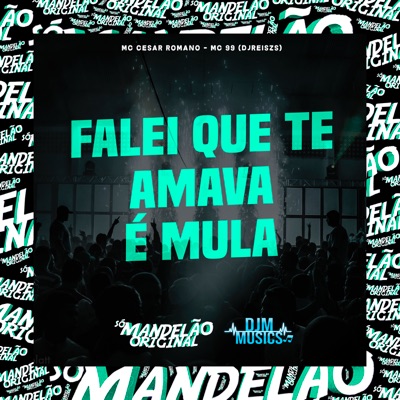 Falei Que Te Amava É Mula - Single