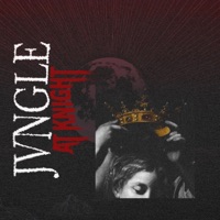 Jvngle At Knight - JVNGLEGYM STUDIOS