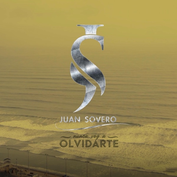 Nunca Voy A Olvidarte