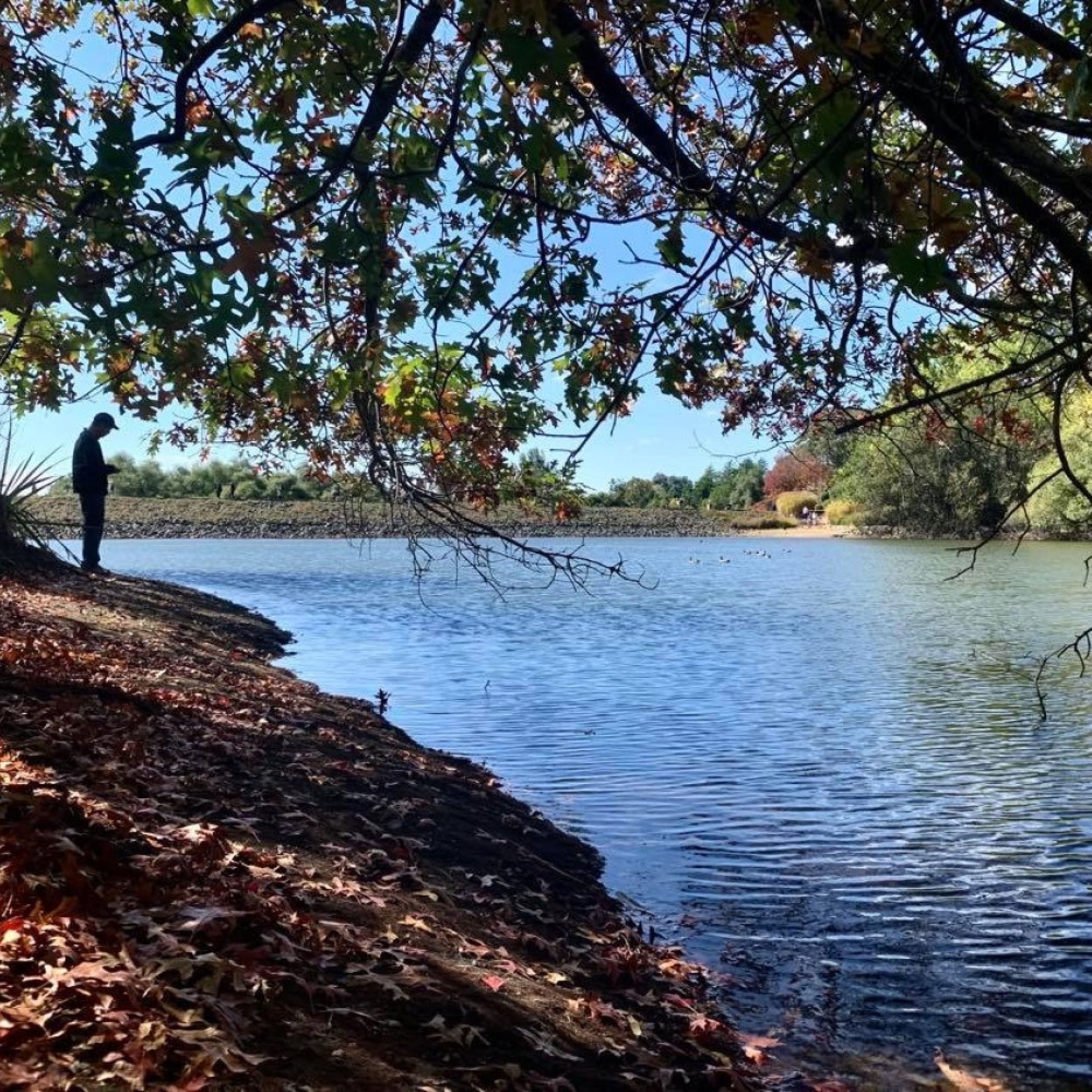 Obscure Fate - Age of Delusion