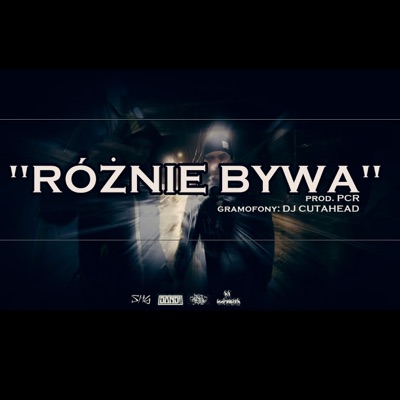 Różnie Bywa (feat. DANDI) - Single
