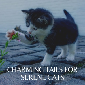 Charming Tails for Serene Cats