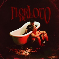 Flor de loto (feat. Varo) - Single - Pau Pergom