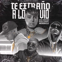 Te Extraño a Lo Vio (feat. Nickoog Clk & Jairo Vera) - Single - Gringuitos Records, Balbi El Chamako & EL REY