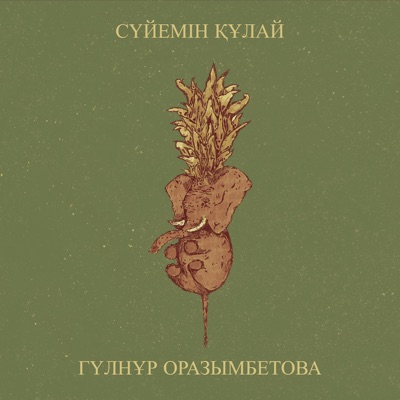 Song - Сүйемін Құлай - Гүлнұр Оразымбетова