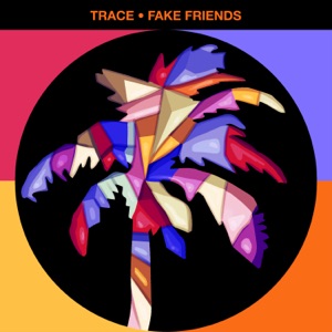 Fake Friends - Single