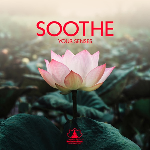 Soothe Your Senses: Time to Unwind and Relax