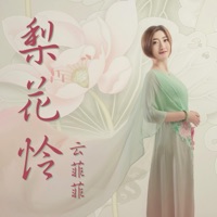 梨花怜 - Single - Yun Fei Fei