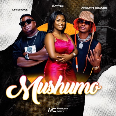 Mushumo (feat. MR BROWN & AIRBURN SOUNDS) - Single