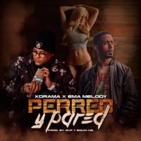 Perreo y Pared - Single - Xdrama & Ema Melody