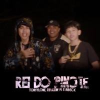 Rei do Pinote - Single - Torvylone, MC Ryanzin MB, Bibeck MC & DuBaio