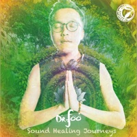 Album cover for Rav (Soothing, Feeling) by Dr Foo