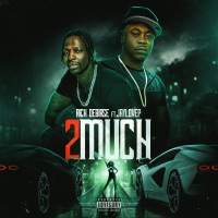 2 Much - Single (feat. Jaylovep) - Single - Rich debiase