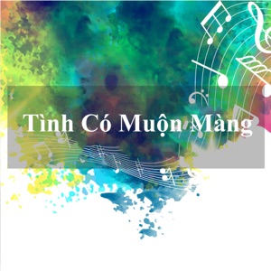 Tình Có Muộn Màng