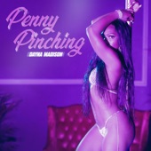 Penny Pinching (Explicit) artwork