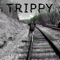 Trippin (feat. Nevi) - Gabe Hebb lyrics