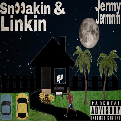 Sneakin & Linkin - Single