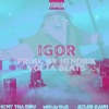 Igor (feat. uRbArBeR & Relus Baum) - Single