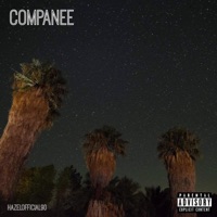 Companee - Single - Hazelofficial90