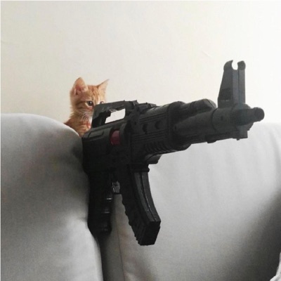 Estrogen Pills! - Single