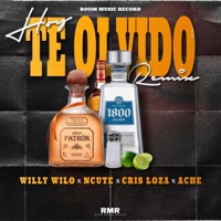 Hoy Te Olvido (Official Remix) - Single - Ncute, Willy wilo, Cris Loza & Ache