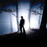 Королева холодна - Single - Young Chaser