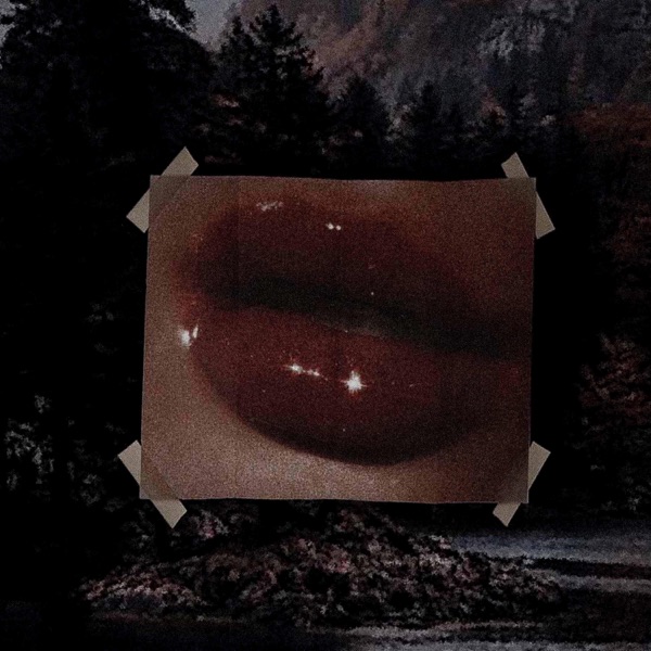 Let's Go In the Garden - Single