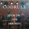 Codrule - Single