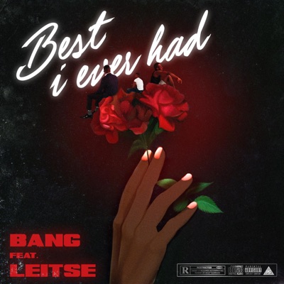 Best I Ever Had (feat. Leitse) - Single