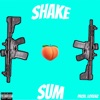 Shake Sum - Single