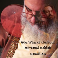 The Wine of the Soul - Single - Mir Farsad Maleknia & Mareechi Asu