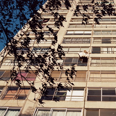 Cejas Pobladas - Single