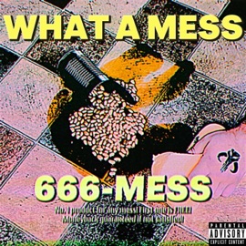 What a mess (feat. Young Matt) 36 N Brimstone