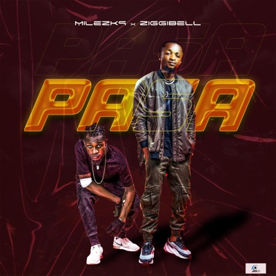 PASA (feat. ZIGGIBELL) - Single