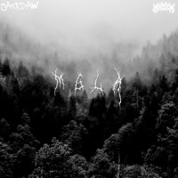 Mgła - Single - JACKDAW & Matem