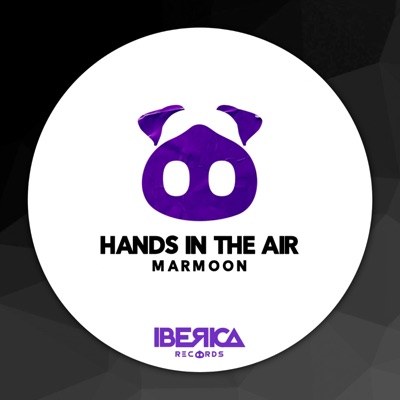 Hands in the Air - Single